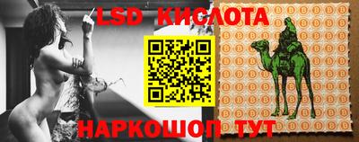 прущие грибы Бугуруслан