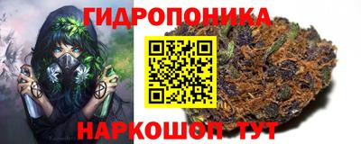 прущие грибы Бугуруслан