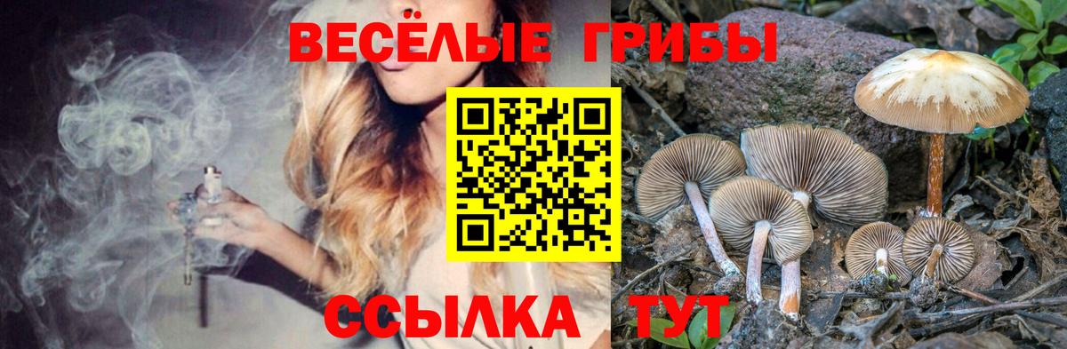 Псилоцибиновые грибы GOLDEN TEACHER Белогорск